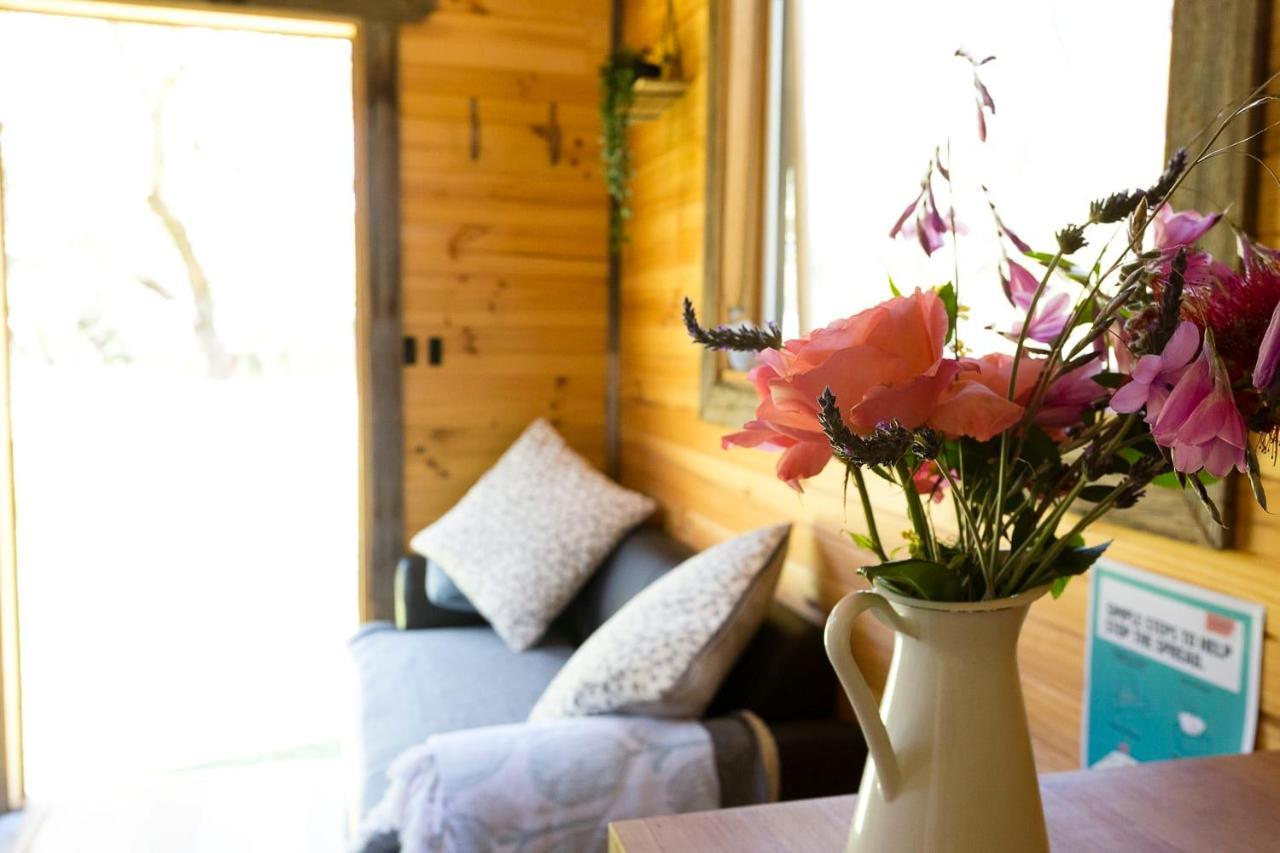 Ardingly Tiny House Newham Exterior photo